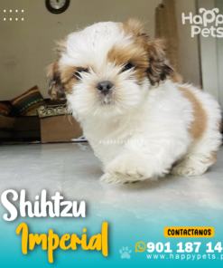 SHIHTZU IMPERIAL